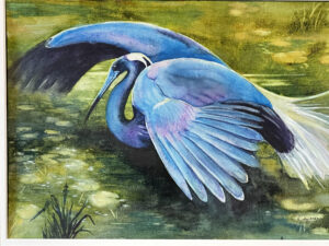 Cheri Weymann, Hovering, Watercolor, 14x18, $550