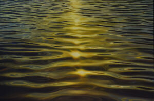 Melissa Imossi, Touched By Light, Oil, 24x36, $2750
