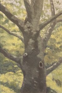 Diane Chandler, Tree At Lockwood, Oil, 9x6, $150
