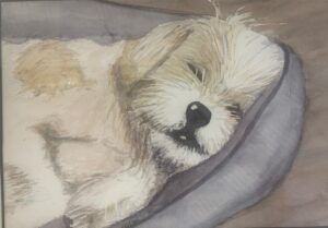 Jim Durkin, Finally Sleeping, Watercolor, 10x14, $200