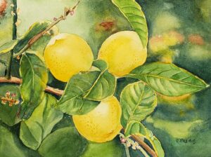 Cora Preibis, Three Lemons, Watercolor, 11x14, $300