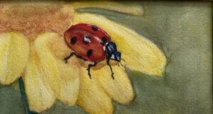 Jeanette Wimmer Ladybug 16x13 Watercolor 100