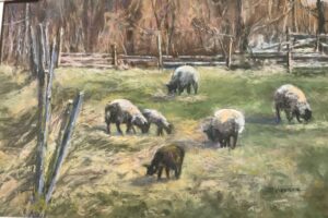 Baa Baa Black Sheep