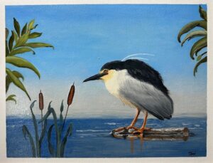 Mary Toni Black Crowned Night Heron