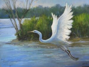 Schirmeier Beverly Taking Flight S Pastel 9x12 575