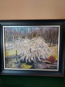 Terry Thomas Summer Clematis Oil 8x10 NFS