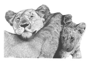 Peggy Adler, Lioness & Her Cubs, Pencil, 10