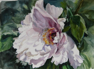 Terry Bogan In Full Bloom 16 X 18 Watercolor 475 