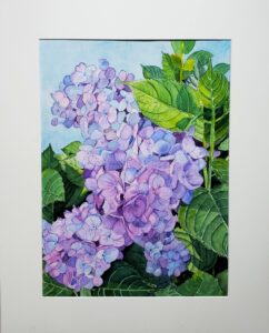 Cora Preibis Hydrangea Bouquet, Watercolor, 11x15, 350