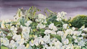 Candace Bialczak Morning Alarm Watercolor 27 X 19 750.00