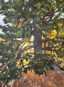 Denise Casey Douglas Fir Gouache Ink Wash Off 12x9 200