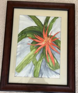 Dee Mozzoci, Bromeliad, WC, 22x26, 375