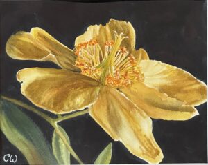Cheri Weymann Born Yesterday Watercolor 11x14 $200