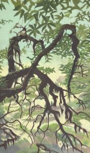 DianeChandlerWaitomoJungleOil30x18850